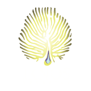 logo IKNOS centrado low