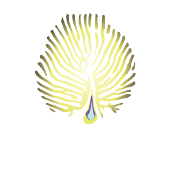 logo IKNOS centrado low
